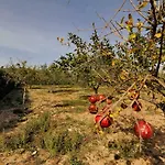 Busho 別荘 ナウサ