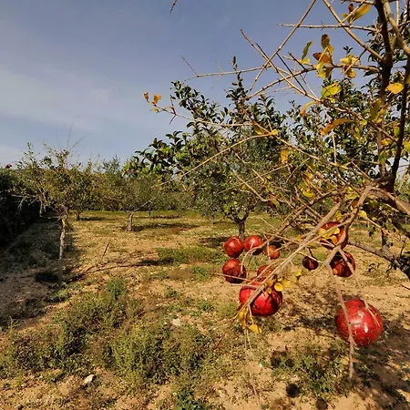 Busho Σπίτι διακοπών Νάουσα