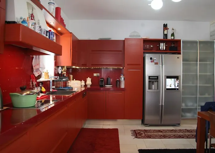 Busho * Zambujeira do Mar