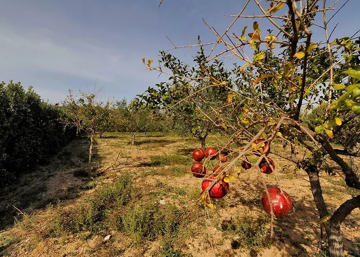 Busho Tatil Evi Zambujeira do Mar