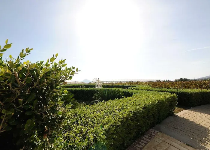 Busho * Zambujeira do Mar